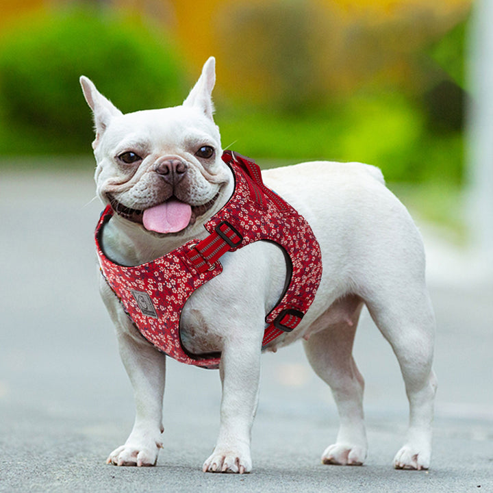 V188-ZAP-TLH1912-13-RED-L-B09P4BCJP2.PT03_720x720-03 Floral Doggy Harness Red L - Image 4
