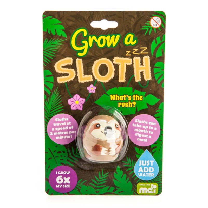 V210-2671139-SDC_2671139_2022-01-3-13-32-02-00 Grow A Sloth - Image 1