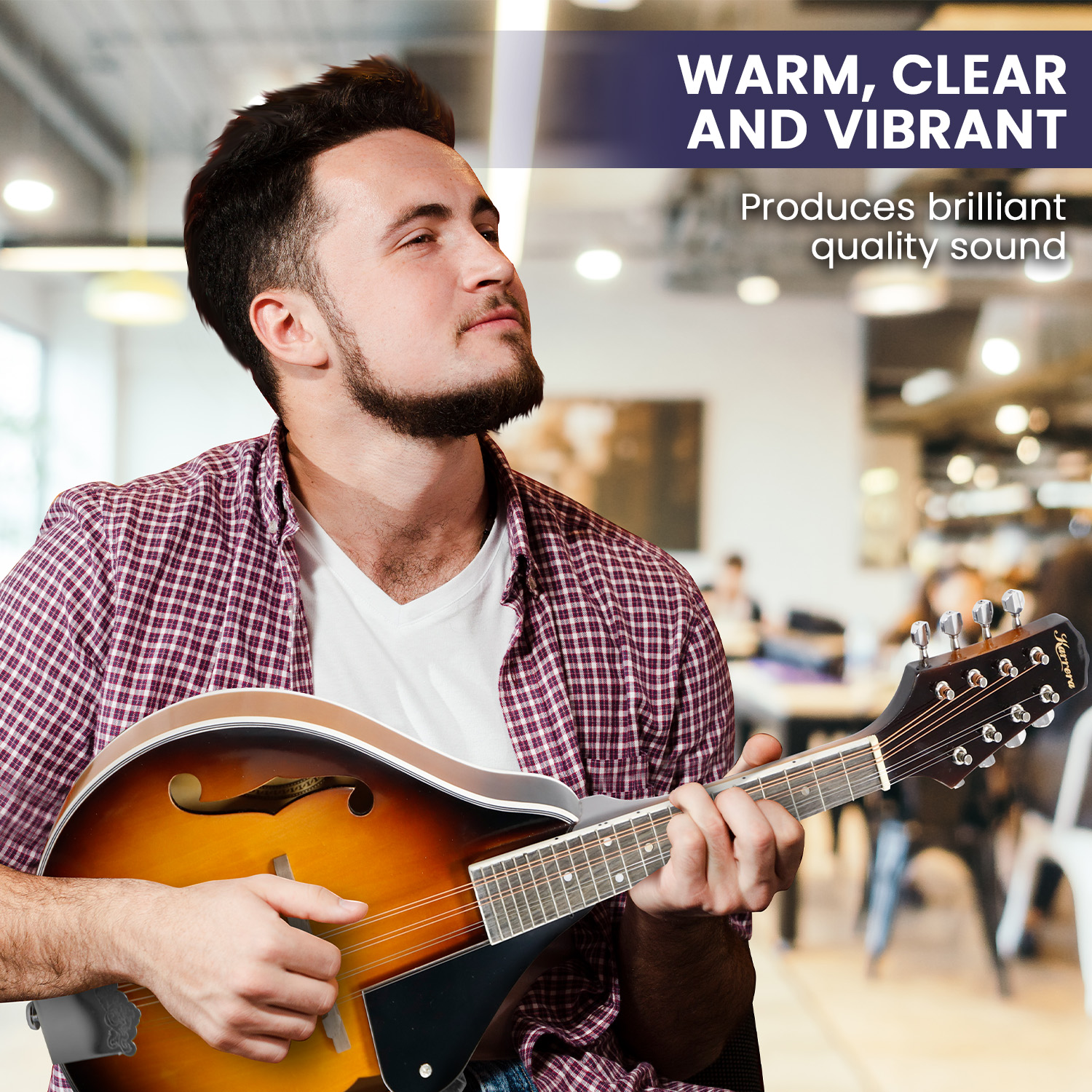 V240-MDL-TDT-71731-06 Karrera Traditional Mandolin - Sunburst - Image 7