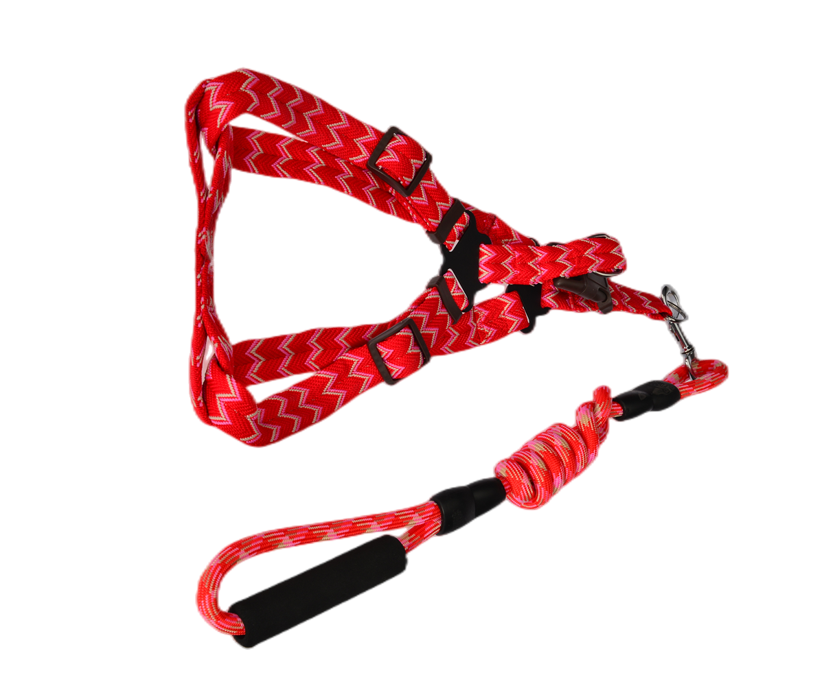 V278-2-X-TH-02215-67765-00 YES4PETS 2 X Medium Pet Dog Cat Puppy Kitten Rabbit Dog Harness Collar leash lead 5 Color - Image 1