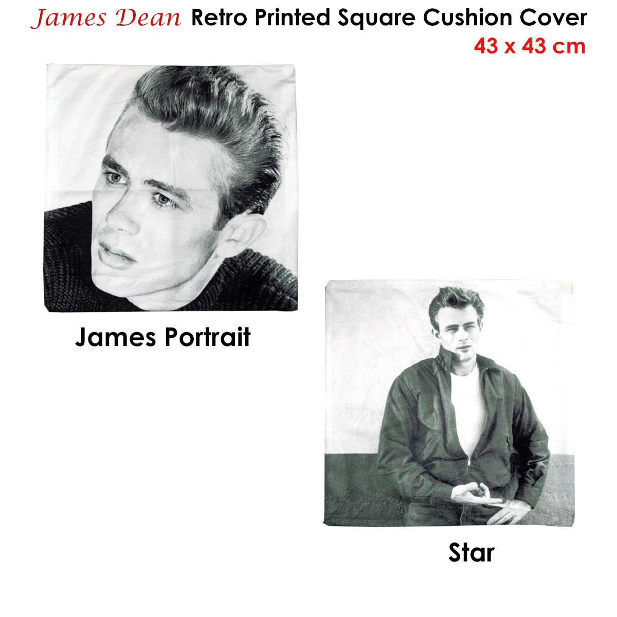 V442-ABR-CUSHIONC-JAMESDEANPORTRAIT-GREY-SQ-96864-01 James Dean Portrait Square Cushion Cover - Image 2