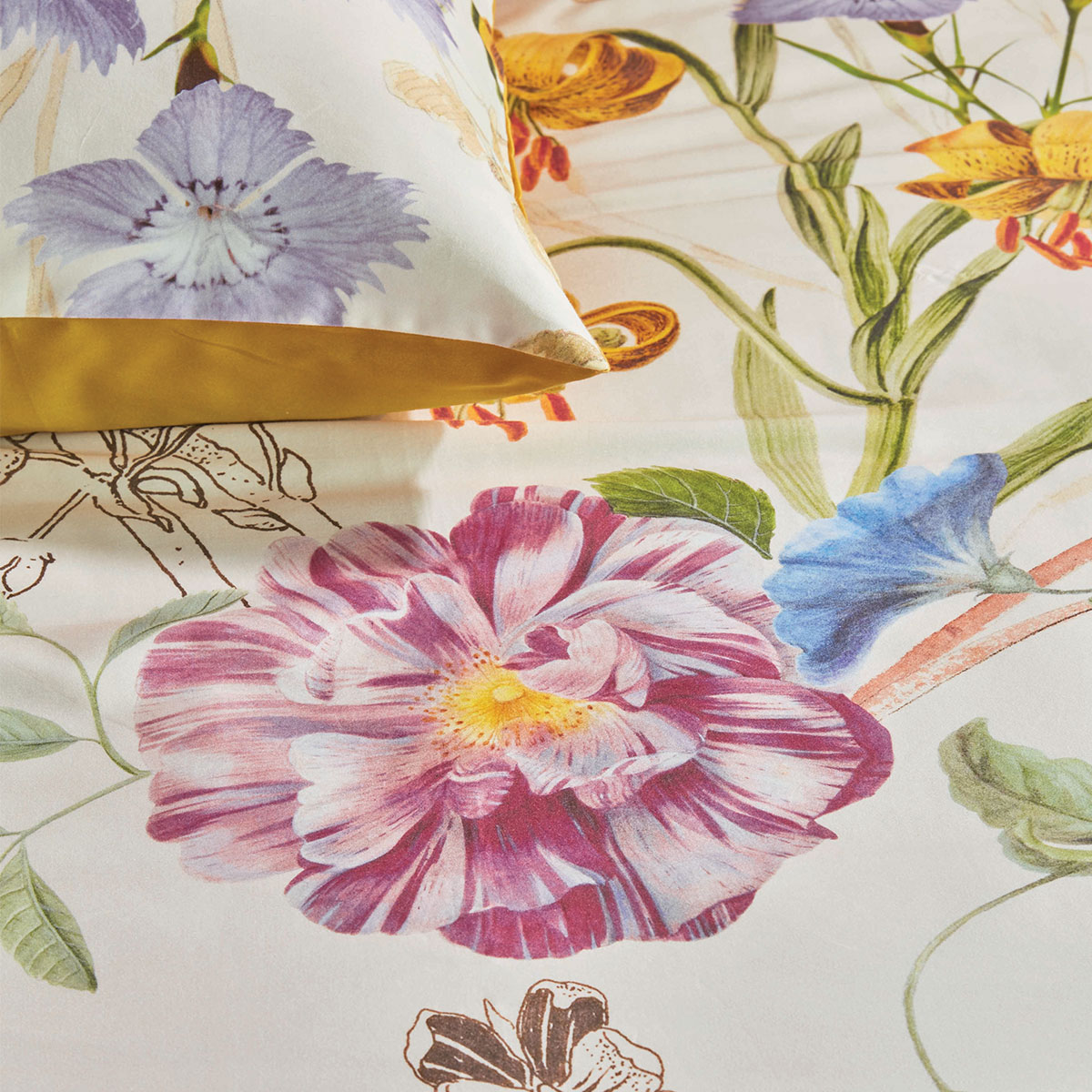 V442-HIN-QUILTCS-BEAU-MULTI-KI-82719-02 Bedding House Beau Multi Cotton Sateen Quilt Cover Set King - Image 3