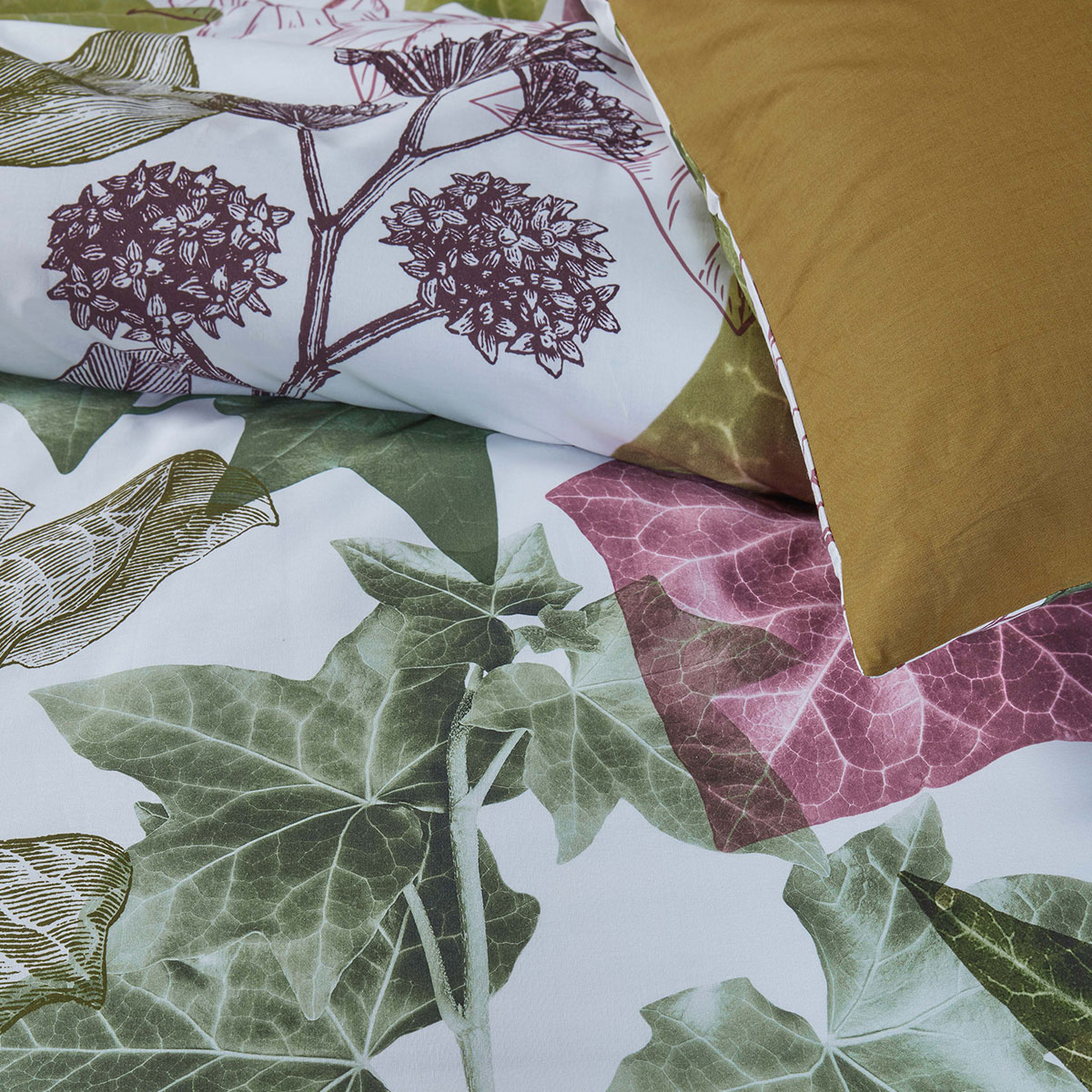 V442-HIN-QUILTCS-IVY-MULTI-QS-82724-02 Bedding House Ivy Multi Cotton Quilt Cover Set Queen - Image 3