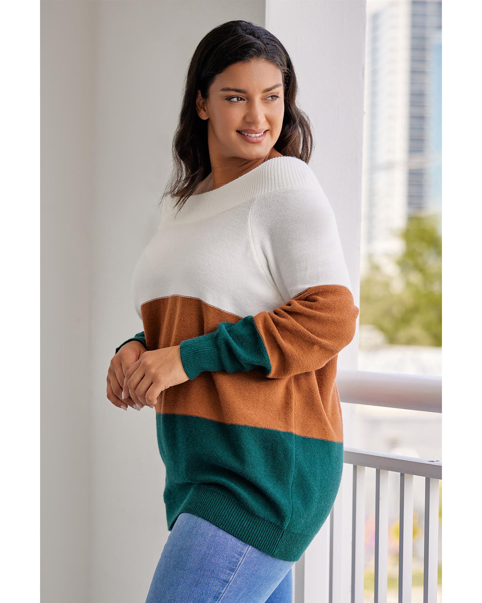 V539-AZEXPL272119-17-1X-202506151812-04 Brown Plus Size Ribbed Trim Color Block Sweater - 1X - Image 5
