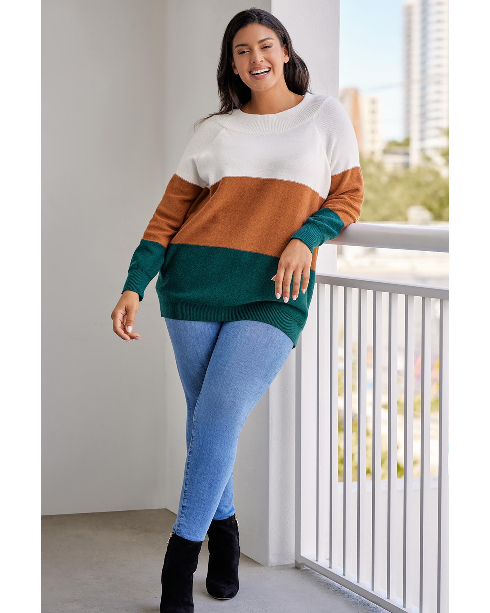 V539-AZEXPL272119-17-1X-202506151812-05 Brown Plus Size Ribbed Trim Color Block Sweater - 1X - Image 6