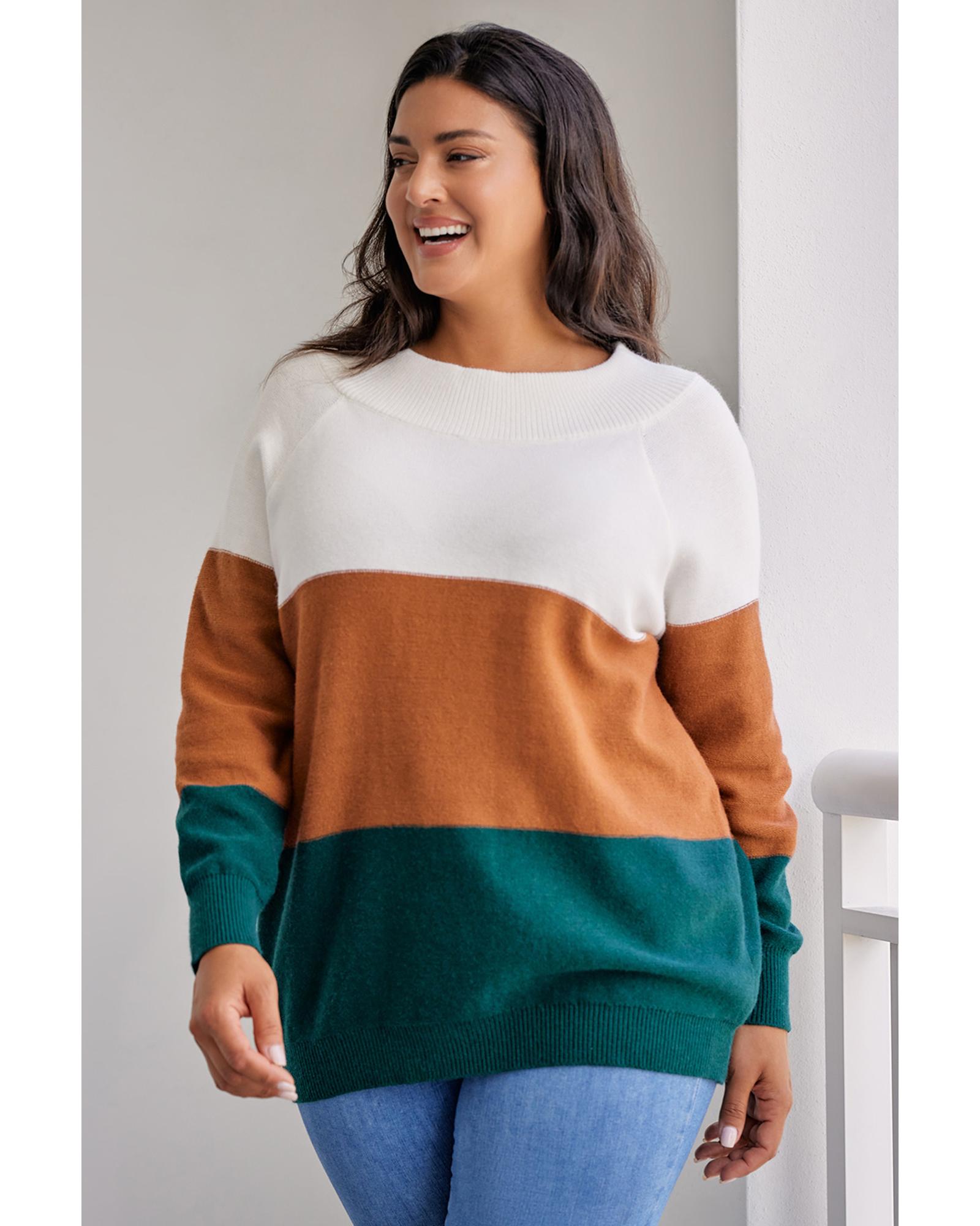 V539-AZEXPL272119-17-2X-202508301040-06 Brown Plus Size Ribbed Trim Color Block Sweater - 2X - Image 7