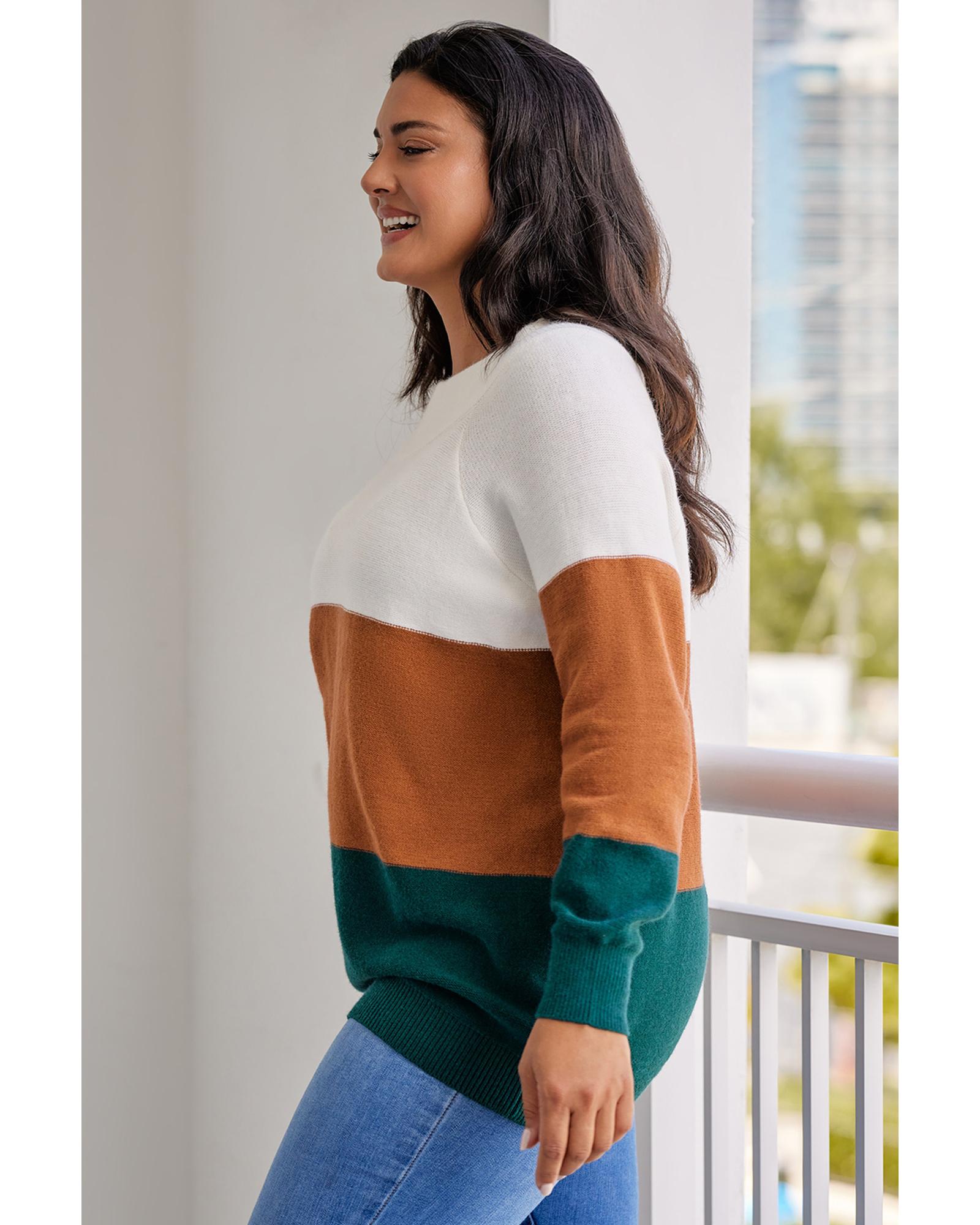 V539-AZEXPL272119-17-2X-202508301040-07 Brown Plus Size Ribbed Trim Color Block Sweater - 2X - Image 8