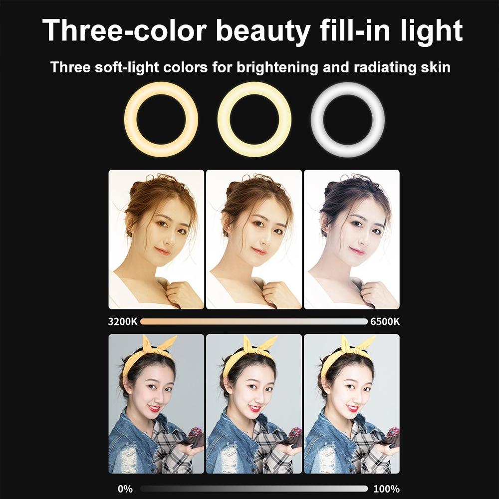 V562-1007654060DBT-221661-09 48leds Laptop Camera Beauty Ring Light - Clip Set 4-inch - Clip Set - Image 10