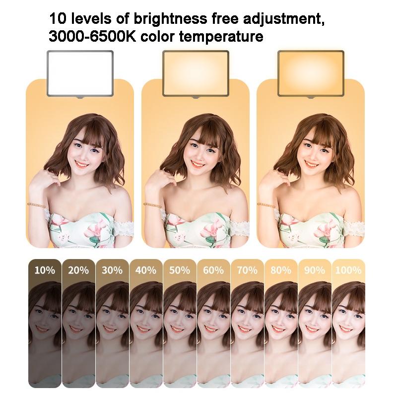 V562-3039843060DBT-202503061945-04 42cm Bracket Live Fill Light with 10 Three-colour Temperature for Photography - Image 5