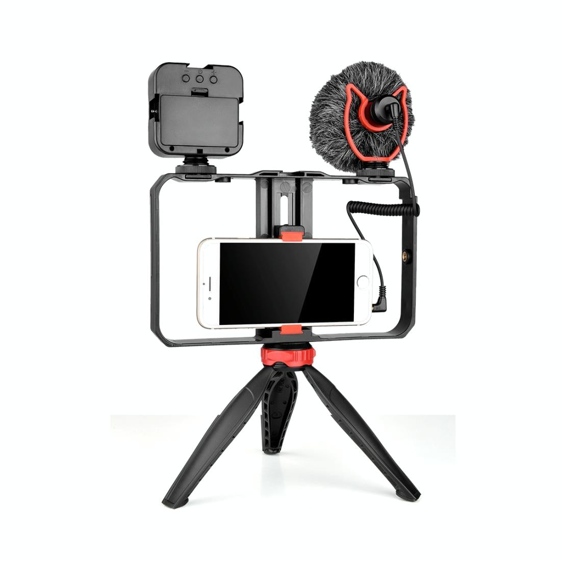 V562-6111ACD-202503061905-00 Vlogging Video Rig With Led Light Mic & Tripod - Image 1