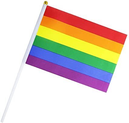 V563-13252-1PCS-184706-01 Rainbow Gay Pride Stick Flag Hand Held Mini Flag LGBT Rainbow Flag - 1 Flag - Image 2
