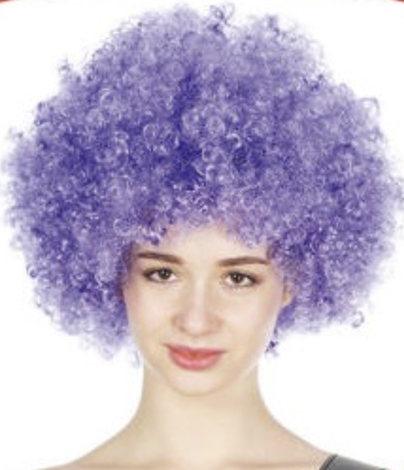 V563-BR-AFRO-PURPLE-184983-01 Mens DELUXE AFRO WIG Curly Hair Costume Party Fancy Disco 70s 80s Dress Up - Purple - Image 2