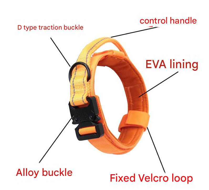V888-ELOSUNG16196-215022-02 XL khaki Hands-Free Dog Leash with Adjustable Waist Belt - Shock Absorbing Bungee Lead - Image 3