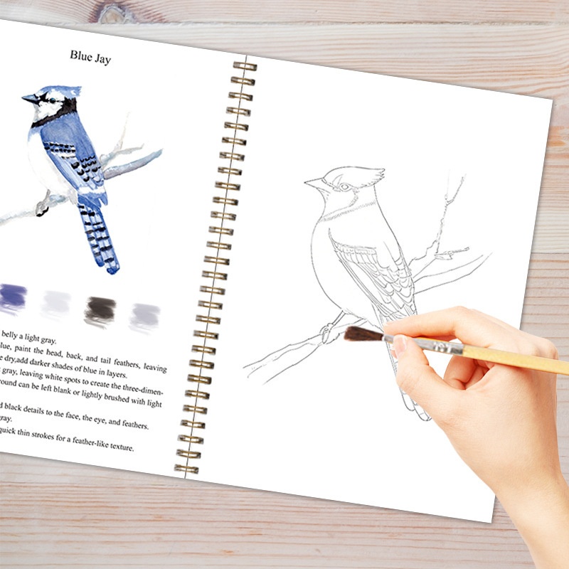 V888-ELOSUNG24562-202504141427-01 Seaside 2-Pack Watercolor Painting Set - Premium Bird-Themed Coloring Books with Watercolor Paints (22.86x16.51cm) - Artist-Grade Workbook Kit - Image 2