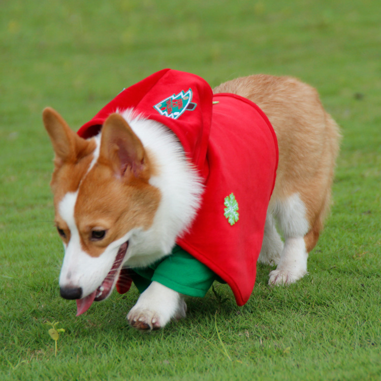 V888-ELOSUNG26958-202505191237-00 Christmas Dog Costume - Festive Hooded Cape & Green Jumpsuit Outfit (Size : 6XL) - Image 1