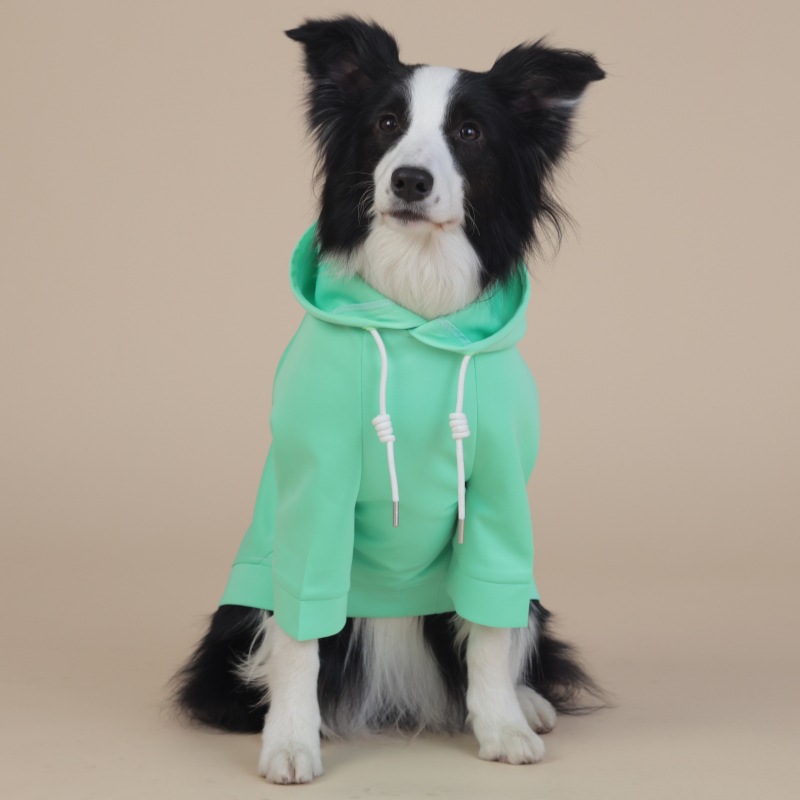 V888-ELOSUNG31162-202505281052-00 Green Classic Dog Sweatshirt with Hood & Drawstrings - For Large Dogs (Size : 9XL) - Image 1