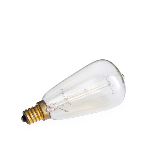 V1049-NP3-202508141745-01 NP3 Bulb Edison - Image 2