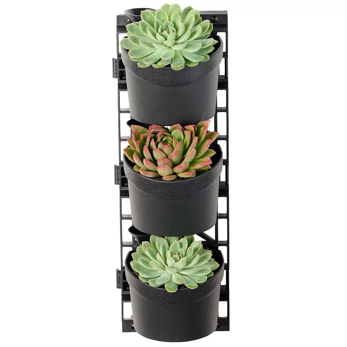V178-67254-202508051025-02 Tri vertical garden with 4 frames and 12 pots - Image 3