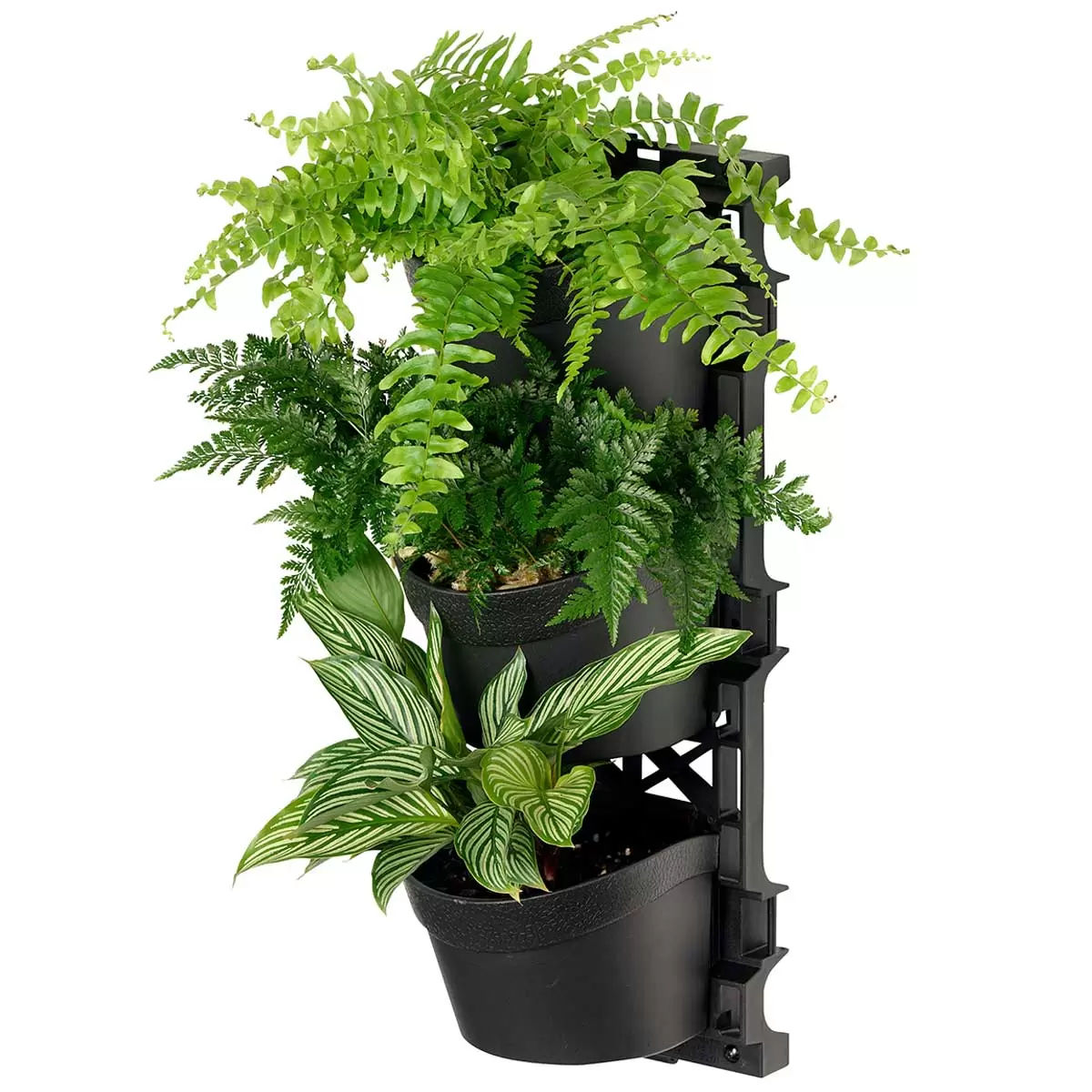 V178-67254-202508051025-05 Tri vertical garden with 4 frames and 12 pots - Image 6