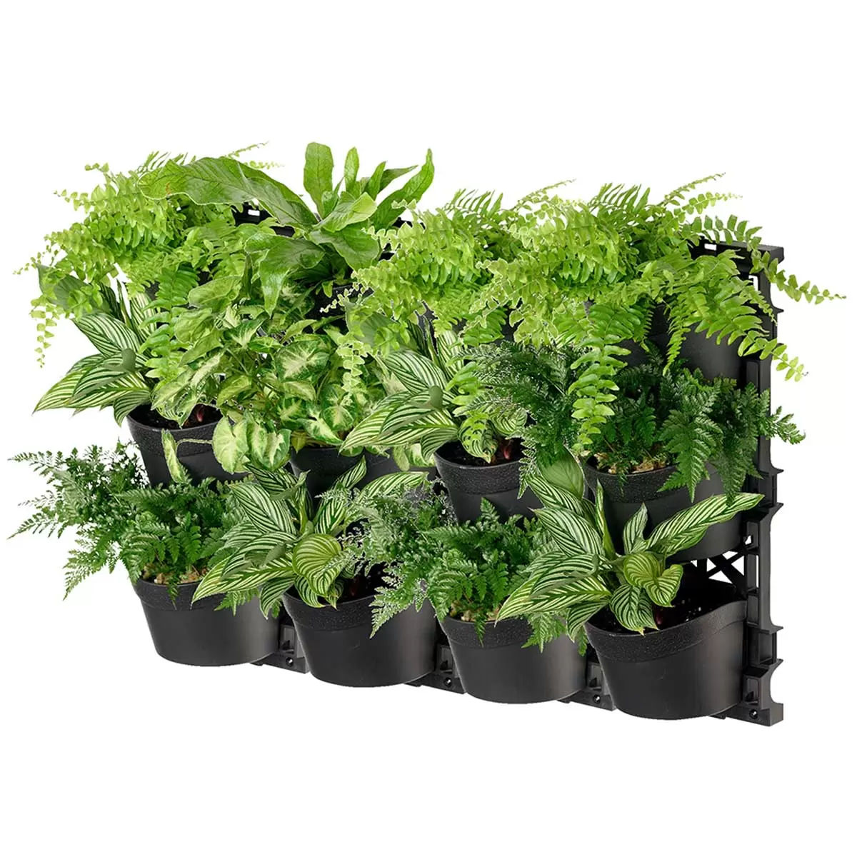 V178-67254-202508051025-09 Tri vertical garden with 4 frames and 12 pots - Image 10