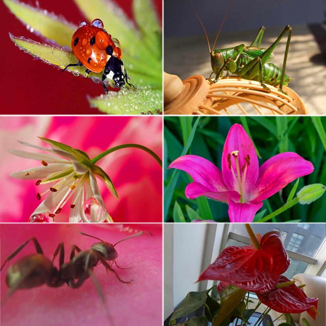 V562-0131ACD-202508272131-06 58mm Macro Lens with Adapter Ring for Gopro Hero5 - Professional Quality - Image 7