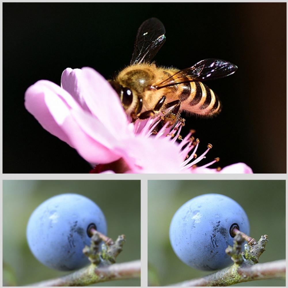 V562-3891ACD-202508272030-03 6-in-1 Round Diving Lens Filter for Gopro Hero8 - Image 4