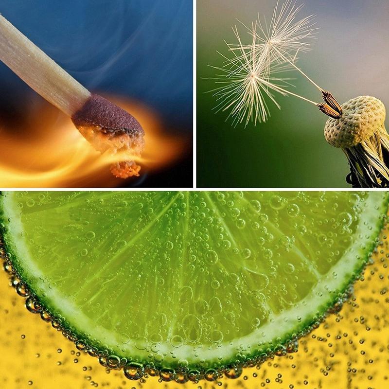 V562-8652-PLD-S-202508271932-06 58mm Close Up Lens Filter Set for Gopro Hero3 - 6-in-1 Macro Adapter Ring - Image 7