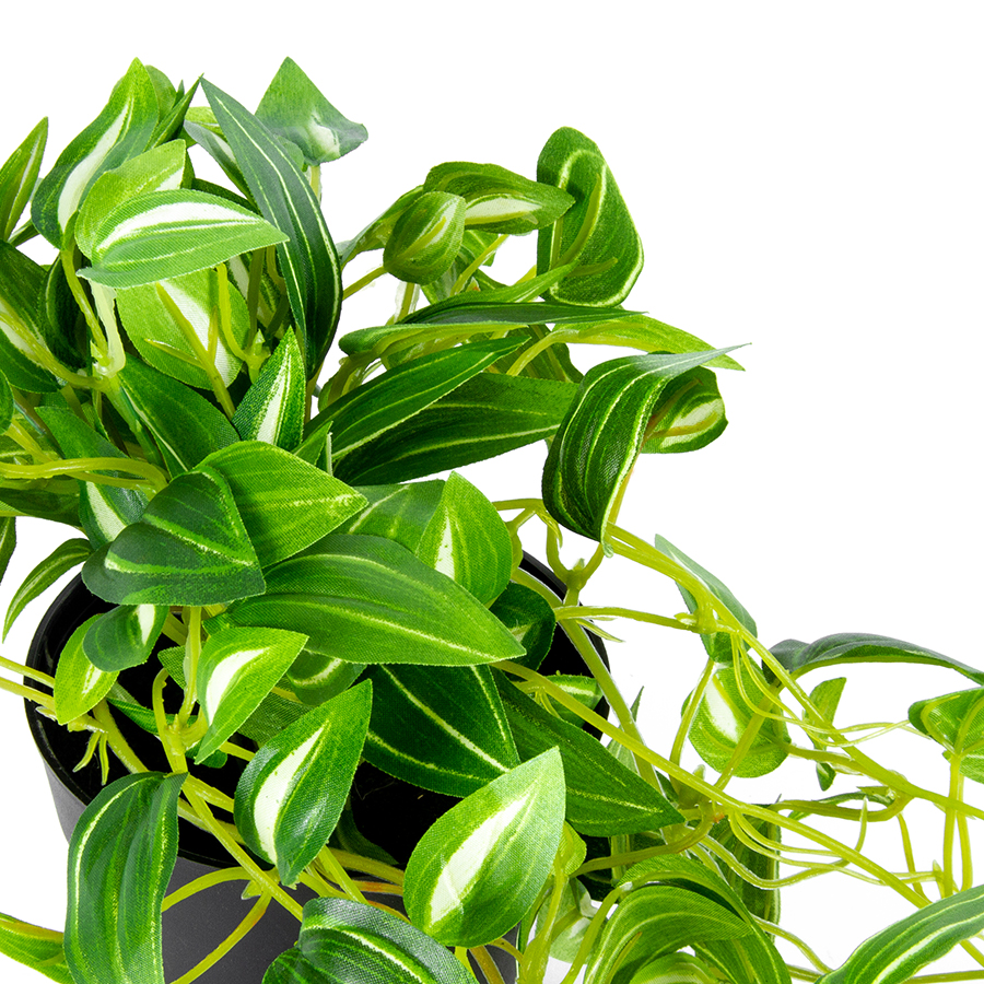 V637-05049HNG-202508251425-01 Potted Hanging Faux Green Weeper 72cm - Image 2