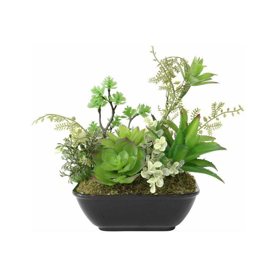 V637-05059SUC-202508251425-02 Set 2 Asst Potted Artificial Succulents 19cm - Image 3