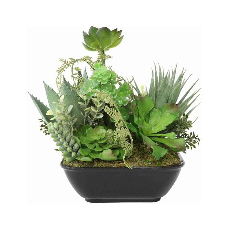 V637-05059SUC-202508251425-03 Set 2 Asst Potted Artificial Succulents 19cm - Image 4