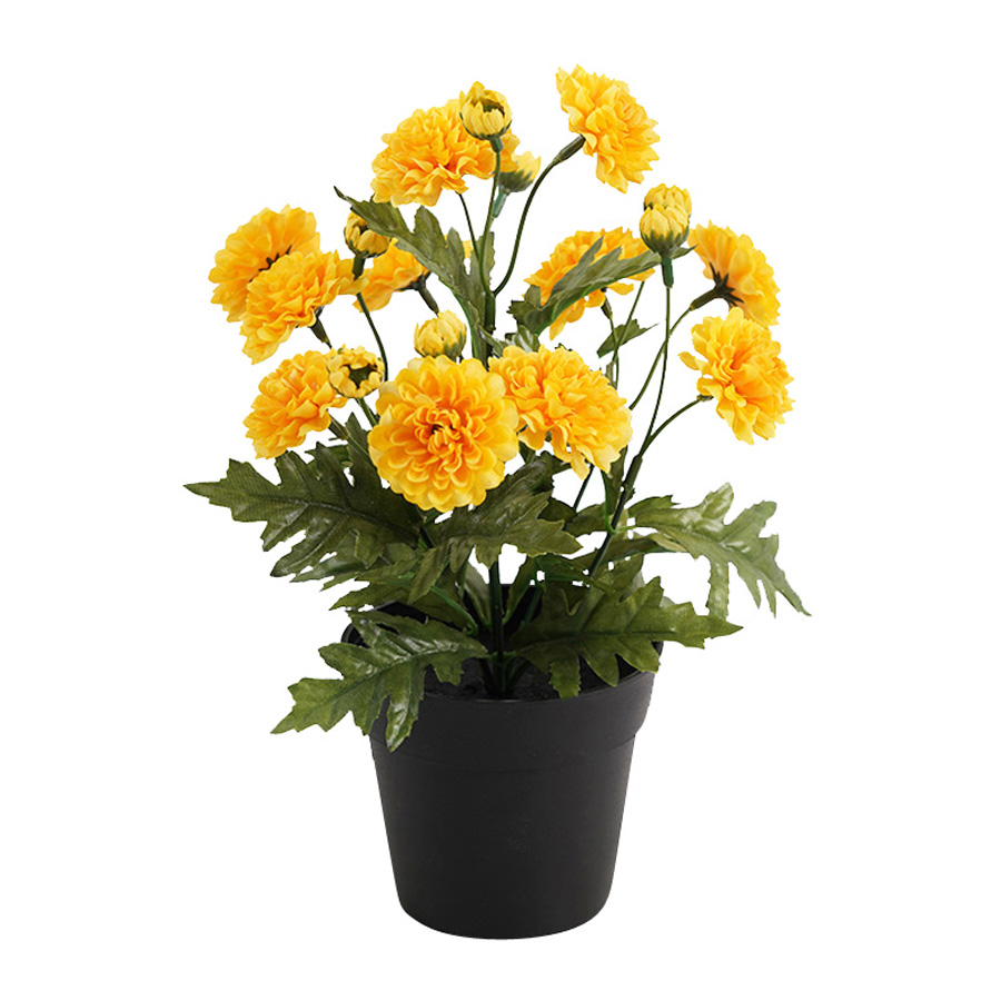 V637-05072MUM-202508251430-02 Potted Artificial Yellow Mum 27cm - Image 3