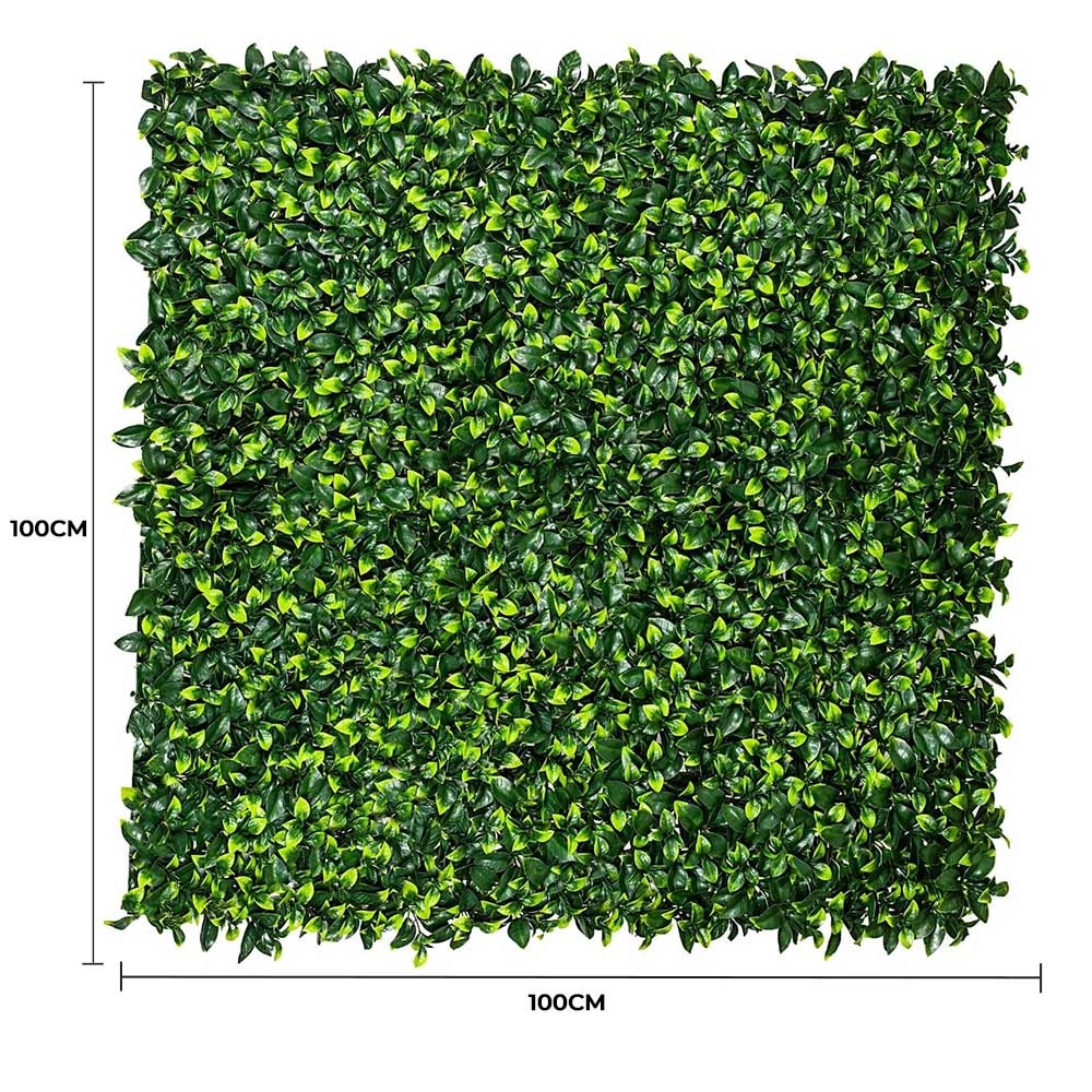 V637-1004628-202508251320-01 Jasmine Hedge Screen Green Wall Panel UV Resistant 100cm x 100cm - Image 2