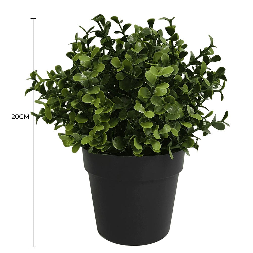 V637-1013001-202508251330-01 Small Potted Artificial Buxus Plant UV Resistant 20cm - Image 2