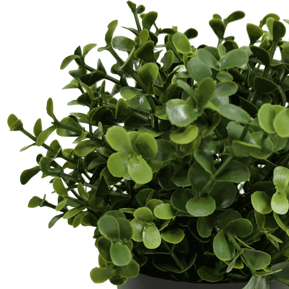 V637-1013001-202508251330-02 Small Potted Artificial Buxus Plant UV Resistant 20cm - Image 3