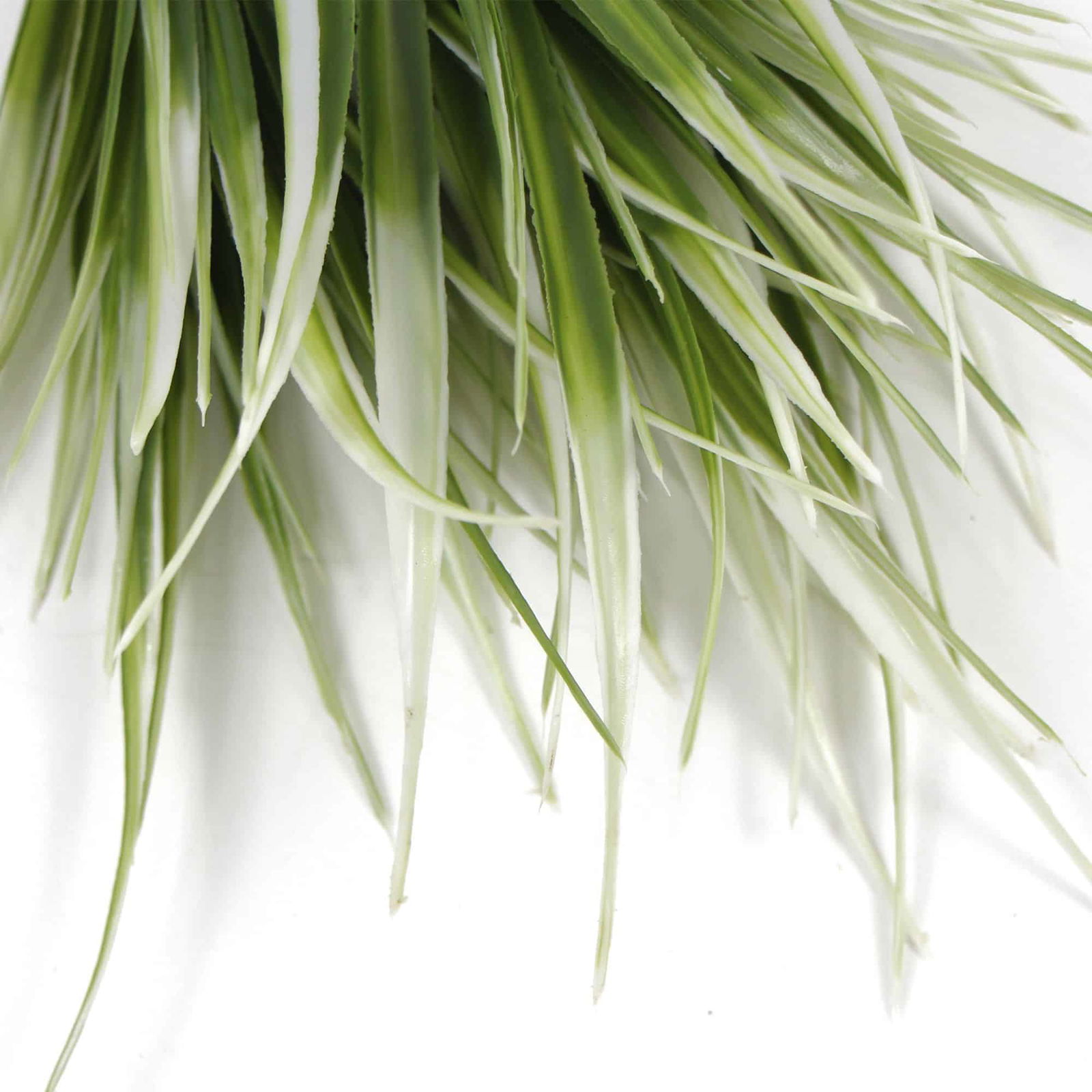 V637-1014401-202508251340-03 White Tipped Grass Stem UV Resistant 35cm - Image 4