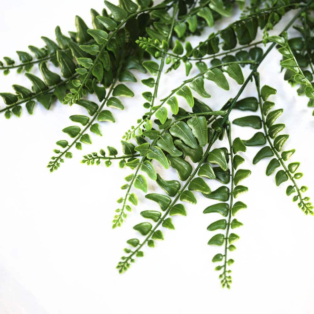 V637-1140229-202508251410-02 UV Resistant Dense Hanging Fern 90cm - Image 3