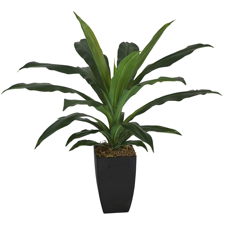 V637-68503PLN-202508251906-01 Potted Artificial Faux Janet Craig Dracaena 58cm - Image 2
