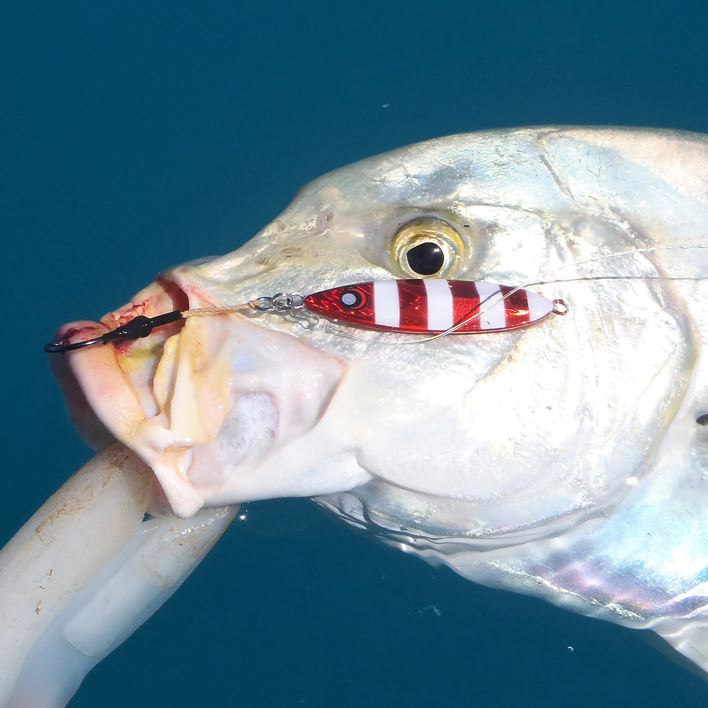 V658-93MC000362304-202507311350-02 The Reef Jigger Gift Pack - Image 3